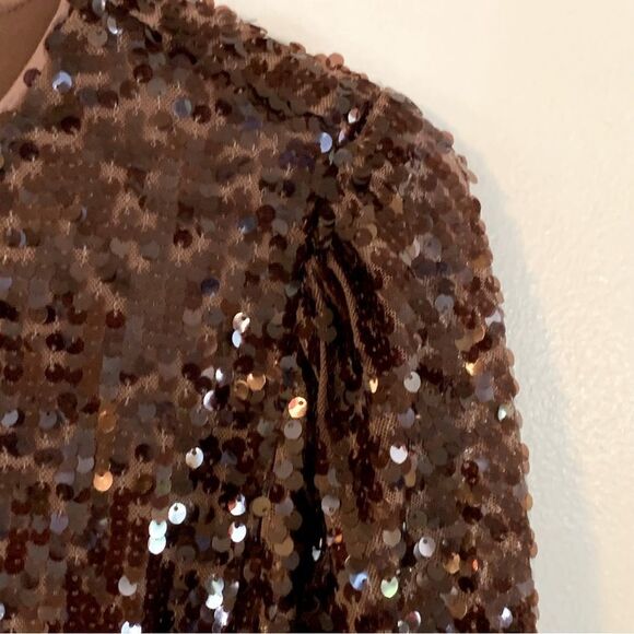 Ann Taylor Loft Shimmering Brown Sequin Top Back Button Puffy Sleeves Sz Large - Picture 6 of 6